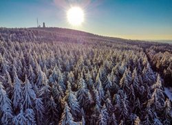 طبیعت زیبای زمستانی در فرانکفورت + عکسها