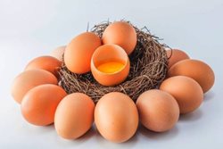 چرا باید با تخم مرغ دوست باشیم؟