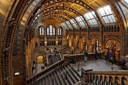 مشخص شدن تاریخ بازگشایی موزه ها و کتابخانه های انگلستان
