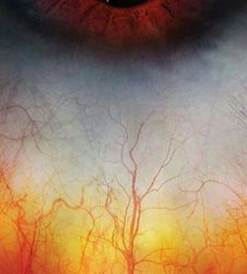 چشم انسان از نمای نزدیک + عکس