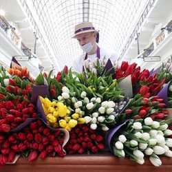 بازار گل فروشی در مسکو + عکسها