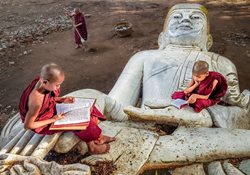 بوداهای کوچک در حال درس خواندن + عکس