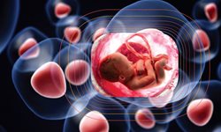 نقش سلول های بنیادی بند ناف نوزاد در درمان سرطان