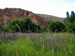 روستای گیلوان اردبیل؛ منطقه ای دیدنی و شگفت انگیز