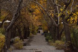 بوستان جمشیدیه تهران؛ پارکی از جنس سنگ در شمال پایتخت