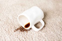 در 3 مرحله ساده لکه قهوه را از روی فرش پاک کنید