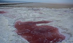 خشک شدن دریاچه نمک حوض سلطان + عکسها