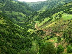 منطقه حفاظت شده آینالو؛ نگین سبز آذربایجان شرقی