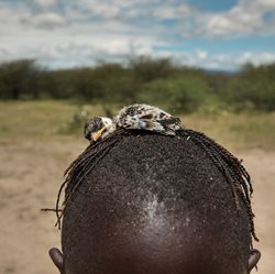 روش عجیب شکار پرنده در تانزانیا + عکسها