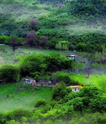 طبیعت بکر روستای ملچ آرام + عکس