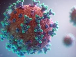 از ویروس کرونای هیبرید هندی کالیفرنیایی چه می دانیم؟
