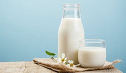 بهترین زمان مصرف شیر؛ صبح یا شب؟