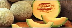 5 میوه و سبزی کم کالری و پرخاصیت را بشناسید