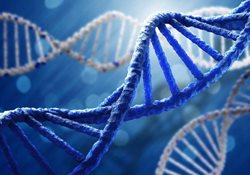 ویروس کرونا DNA انسان را درگیر نمی کند