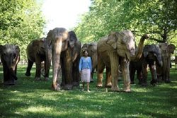 نصب مجسمه های فیل در گرین پارک لندن + عکس