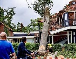 سقوط درختان بر روی خانه ها در هلند + عکسها