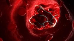شناسایی پروتئین مهمی که از لخته شدن خون کشنده پیشگیری می کند