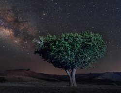 آسمان شب بلوچستان + عکسها