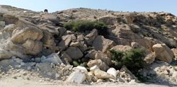 وجود استقرارهای پارینه سنگی میانی و قدیم در حوزه هلیل رود