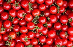 گوجه فرنگی خام؛ گیاه پرخاصیت روزهای گرم تابستان