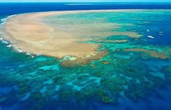 خطر از بیخ گوش ونیز و سد مرجانی استرالیا گذشت