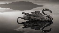 دریاچه ترسناک ناترون در شمال تانزانیا + تصاویر