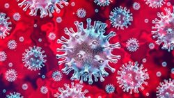 آخرین اطلاعات علمی درباره ویروس دلتا