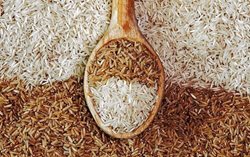 برنج قهوه ای یا برنج سفید؟ کدام برای سلامت مفید است؟