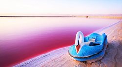 معرفی شماری از زیباترین مرداب ها و دریاچه های رنگی ایران