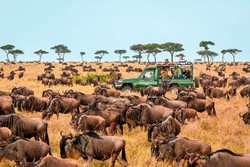 معرفی شماری از مشهورترین جاهای دیدنی کنیا