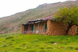 روستای قوهیجان یکی از روستاهای پلکانی و خوش آب و هوای طارم است