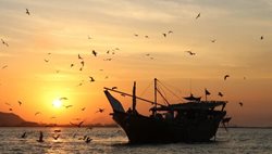 توسعه گردشگری دریایی عزم ملی می خواهد