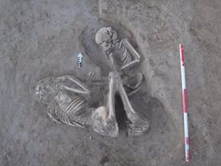 کشف بقایای مادها در محوطه تاریخی ریوی