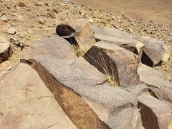 اقدامات معدنکاران در محدوده سنگ نگاره های تیمره خمین متوقف شد