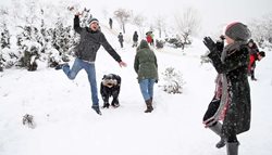 معرفی تعدادی از بهترین جاهای تهران برای برف بازی