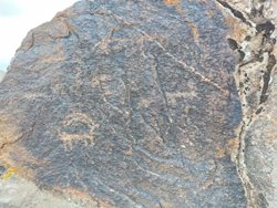 قدمت 40 هزار ساله سنگ نگاره های تازه کشف شده مشهد
