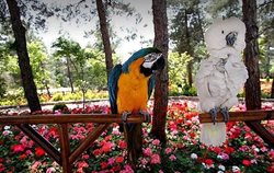 باغ پرندگان یکی از جاهای دیدنی پرطرفدار تهران است
