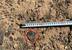 تعداد قابل توجهی دست ساخته سنگی در گرمسار کشف شد