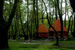 پارک جنگلی خشکه داران یکی از جاذبه های گردشگری مازندران است