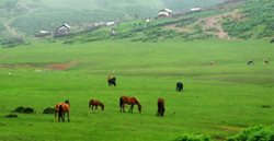 املش یکی از زیباترین مناطق ییلاقی گیلان است