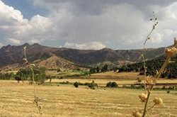 مدیریت پارک جنگلی سورین بانه به میراث فرهنگی کردستان واگذار شد