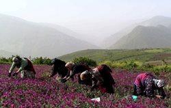 نگرشی بر عناصر هویت بخش میراث کشاورزی استان گیلان