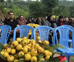 راههای نرفته مازندران برای برپایی جشنواره های کشاورزی