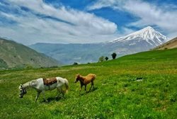 دشت آزو یکی از زیباترین جاذبه های طبیعی مازندران است