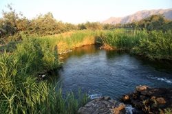 چشمه گمبان یکی از جاذبه های گردشگری استان فارس است