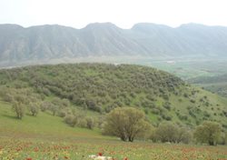 روستای قمرالی چله یکی از روستاهای دیدنی استان کرمانشاه به شمار می رود