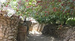 روستای اسپی داران یکی از روستاهای زیبای استان البرز است
