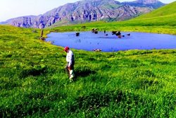 دریاچه قالغانلو یکی از جاذبه های طبیعی استان اردبیل است
