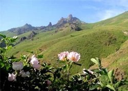 منطقه شکار ممنوع زرینه اوباتو یکی از دیدنی های استان کردستان به شمار می رود