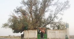 زیارتگاه بی بی دوست یکی از اماکن مذهبی سیستان و بلوچستان است